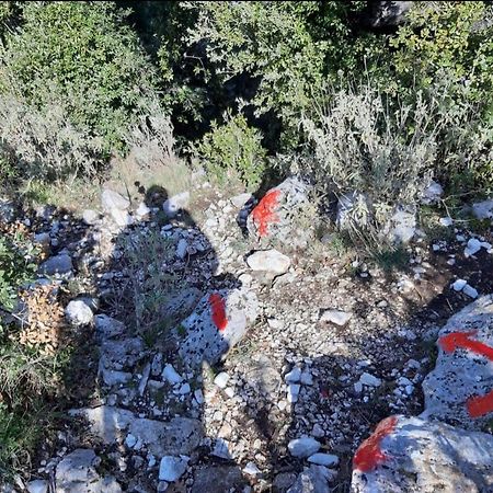 Guesthouse Hamiti Llogara Dukat Exteriér fotografie