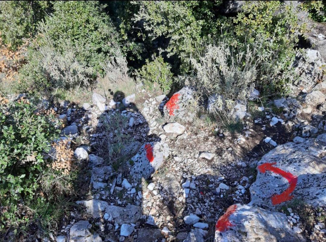 Guesthouse Hamiti Llogara Dukat Exteriér fotografie