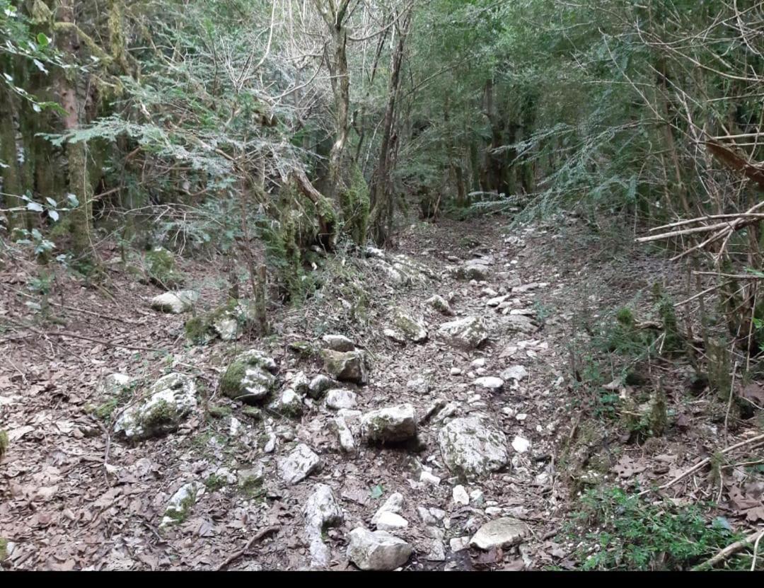 Guesthouse Hamiti Llogara Dukat Exteriér fotografie