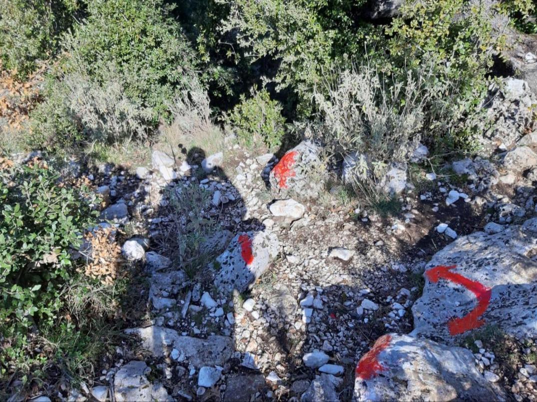 Guesthouse Hamiti Llogara Dukat Exteriér fotografie