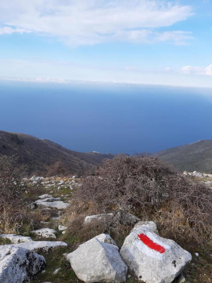 Guesthouse Hamiti Llogara Dukat Exteriér fotografie
